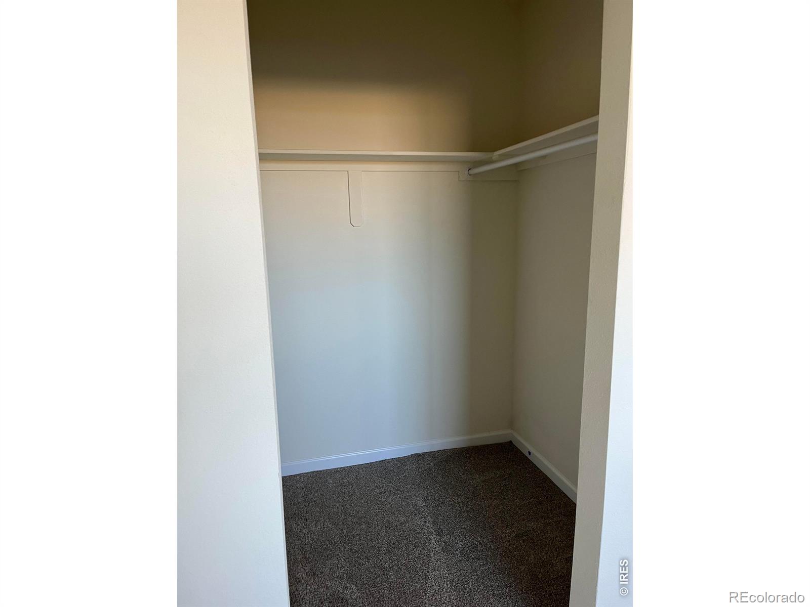 MLS Image #29 for 2305  apple street,longmont, Colorado