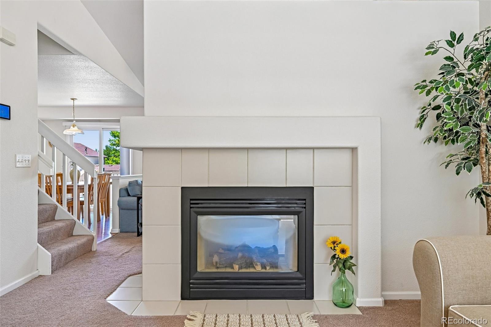 MLS Image #22 for 2531  cove creek court,littleton, Colorado