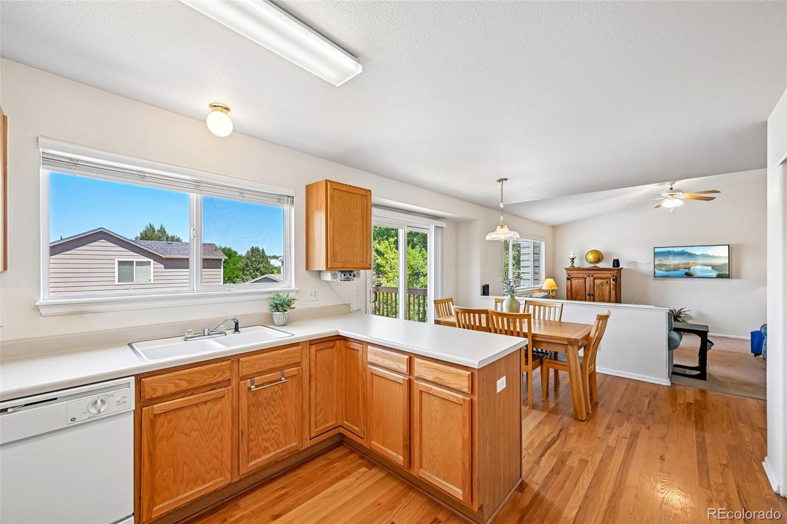 MLS Image #29 for 2531  cove creek court,littleton, Colorado