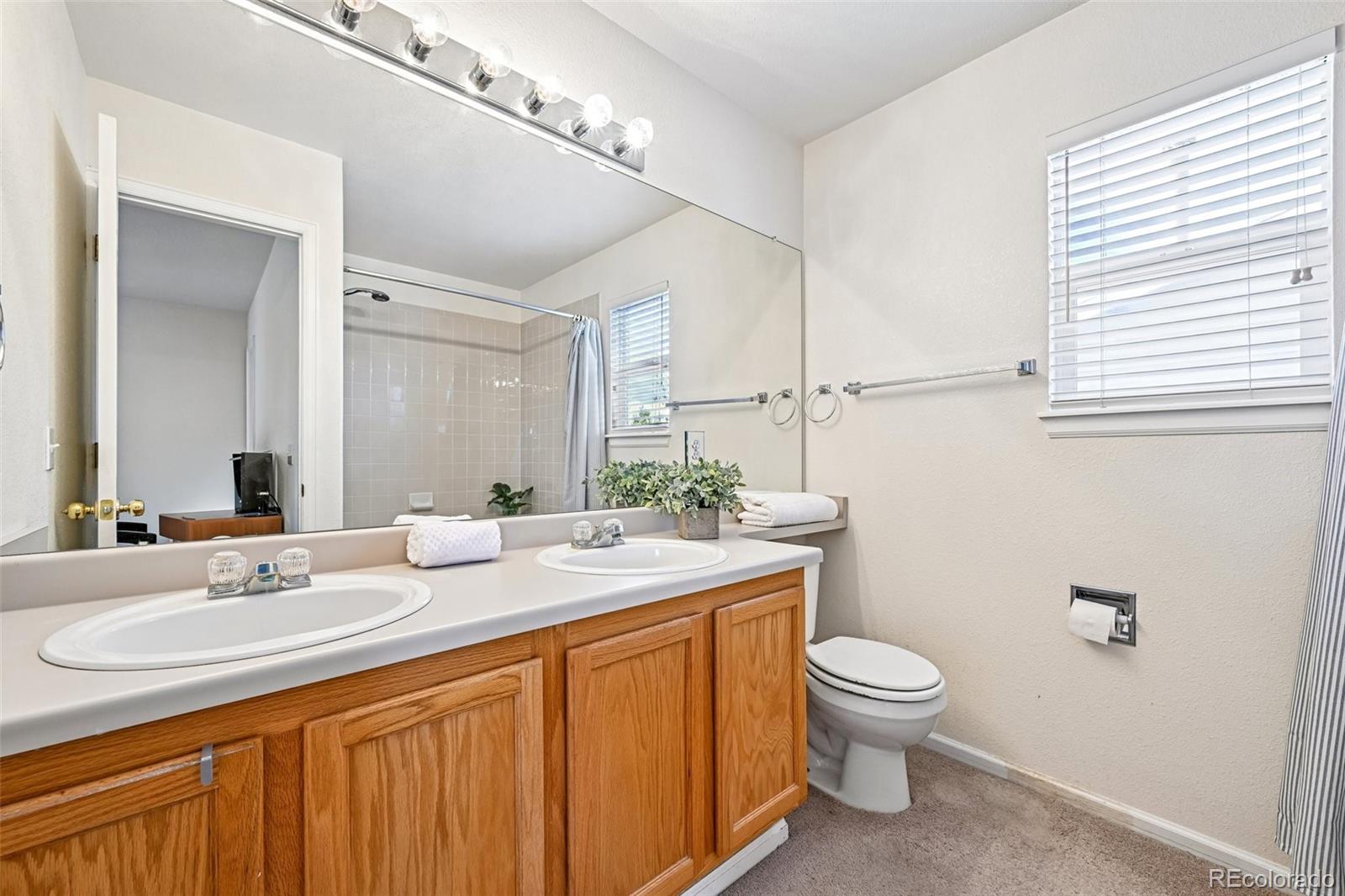 MLS Image #39 for 2531  cove creek court,littleton, Colorado