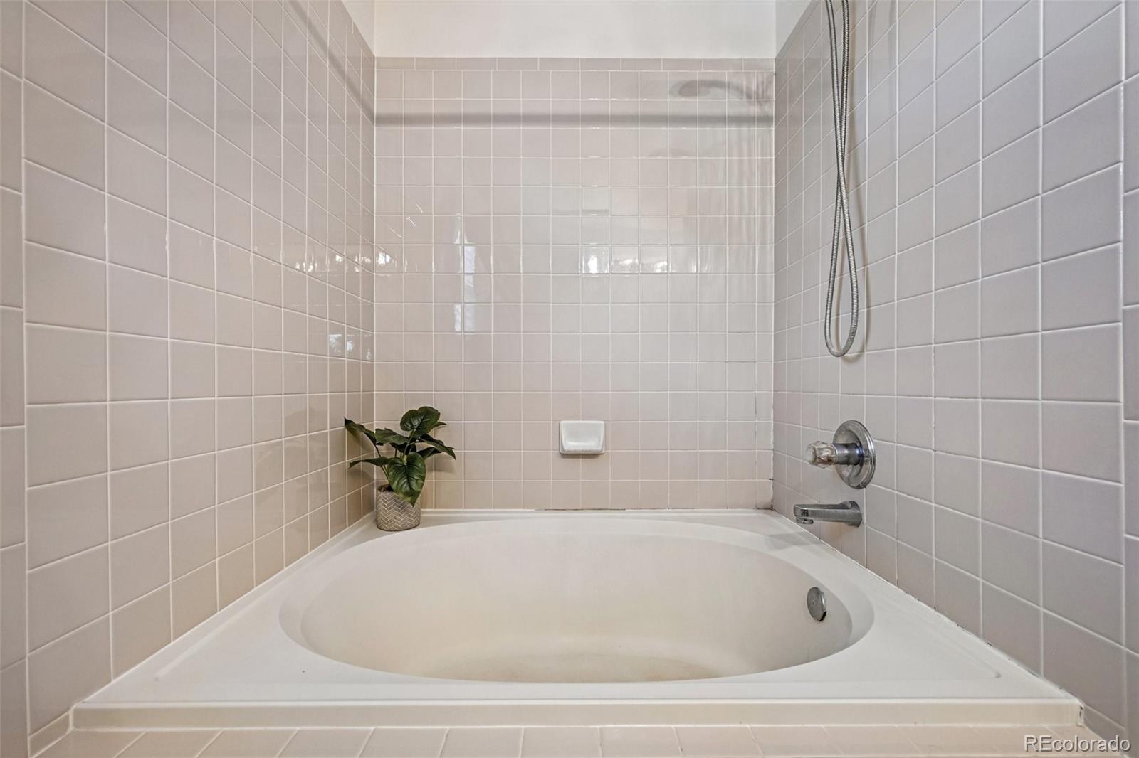 MLS Image #8 for 2531  cove creek court,littleton, Colorado