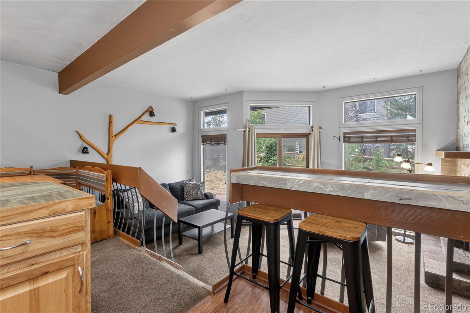 MLS Image #7 for 56  gcr 834 ,fraser, Colorado