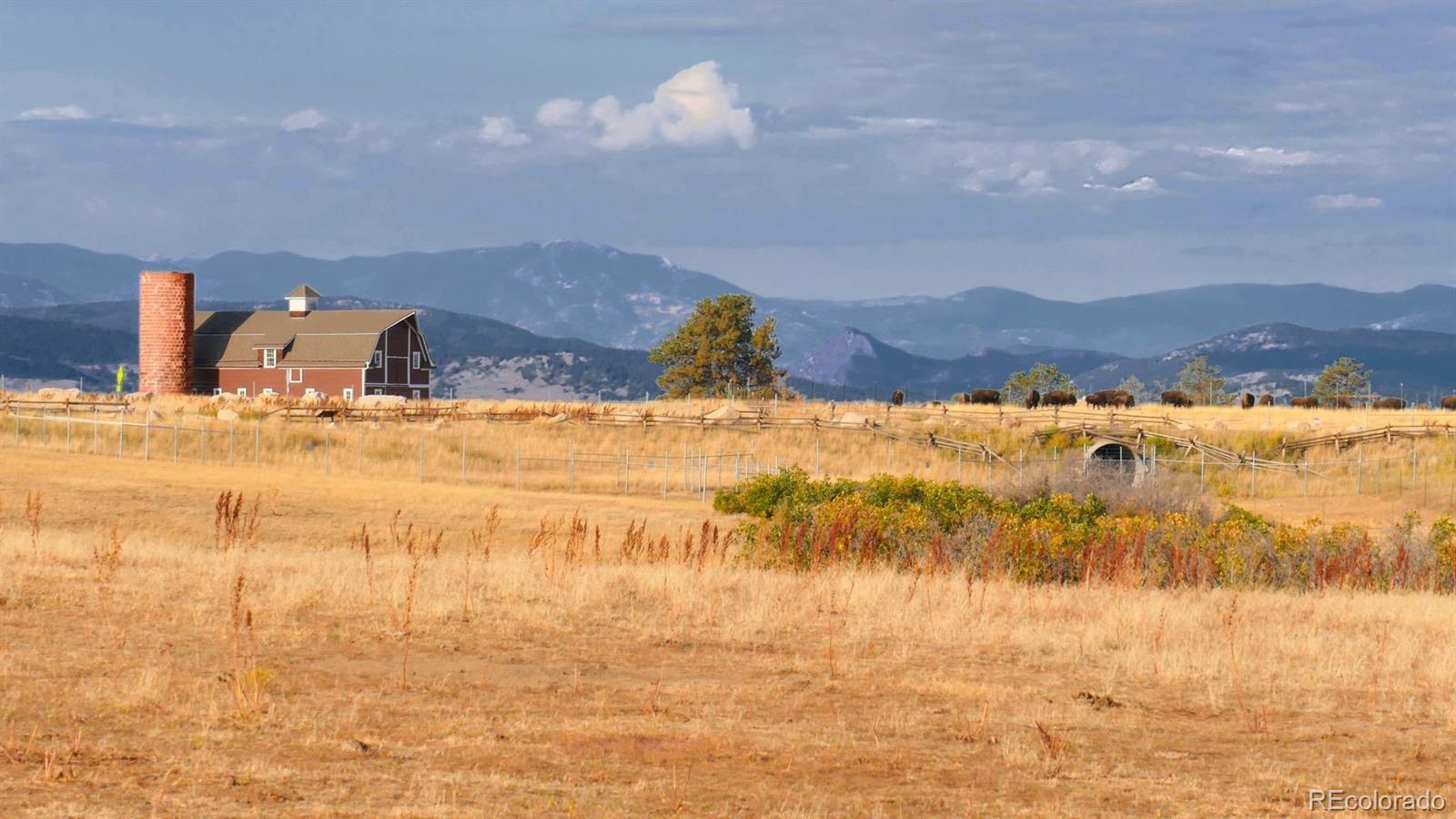 MLS Image #2 for 5700  amber ridge drive,castle rock, Colorado