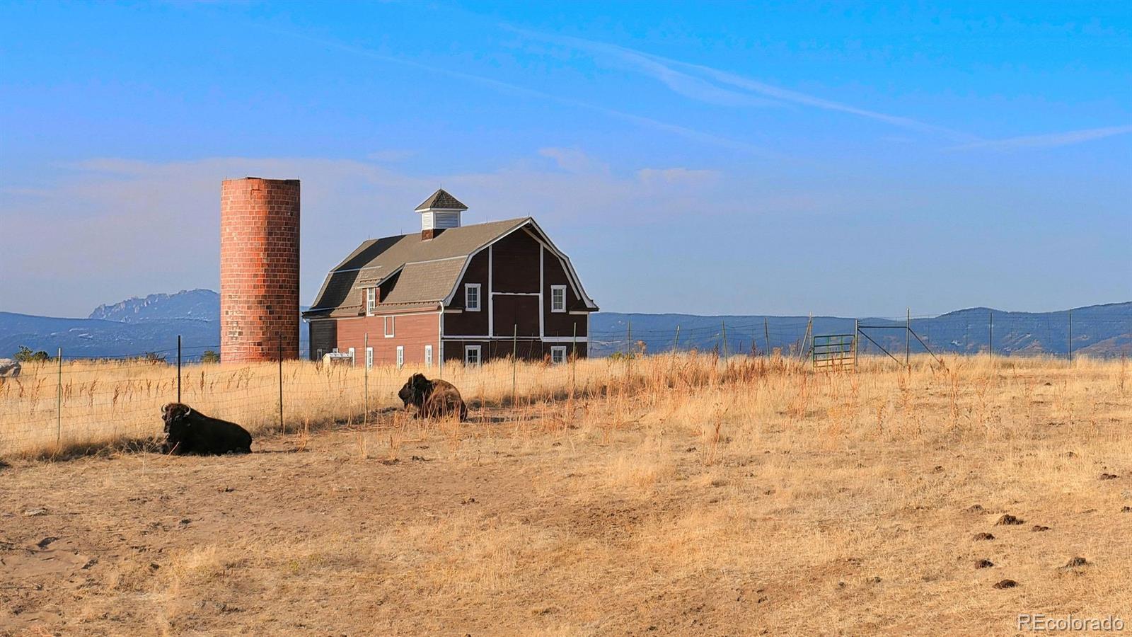 MLS Image #35 for 5700  amber ridge drive,castle rock, Colorado