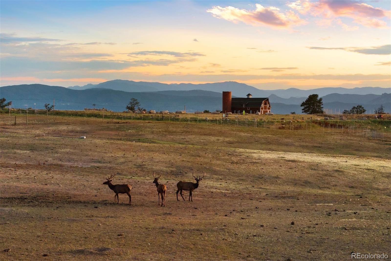 MLS Image #37 for 5700  amber ridge drive,castle rock, Colorado