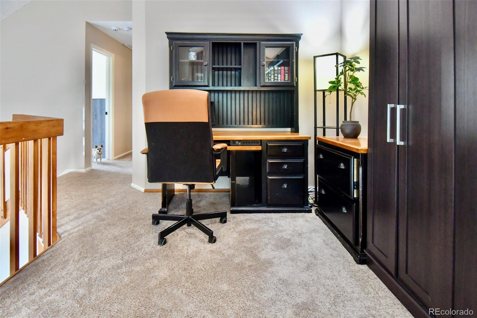 MLS Image #20 for 5714 w atlantic place,lakewood, Colorado