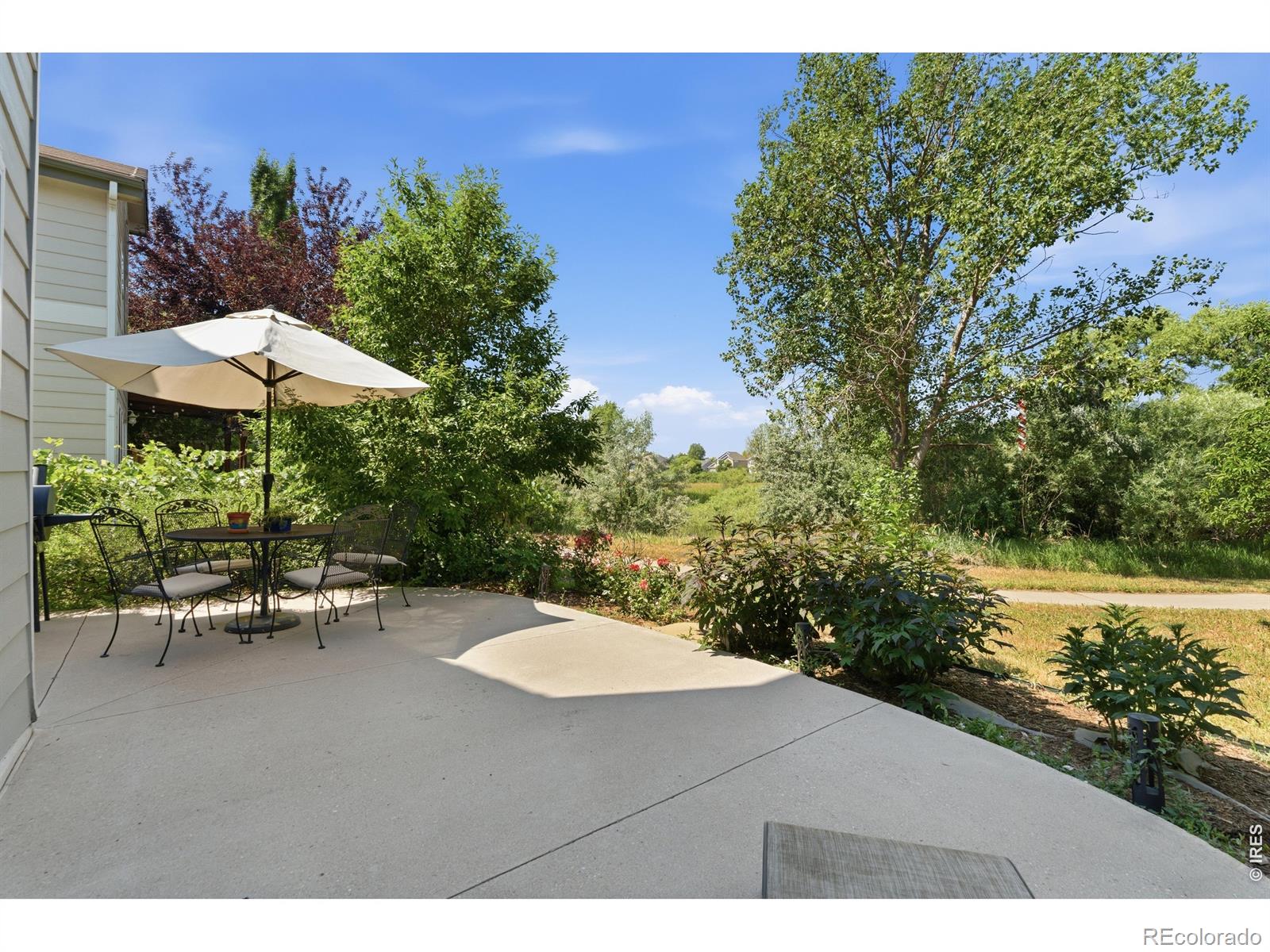 MLS Image #12 for 1115  lochmore place,fort collins, Colorado