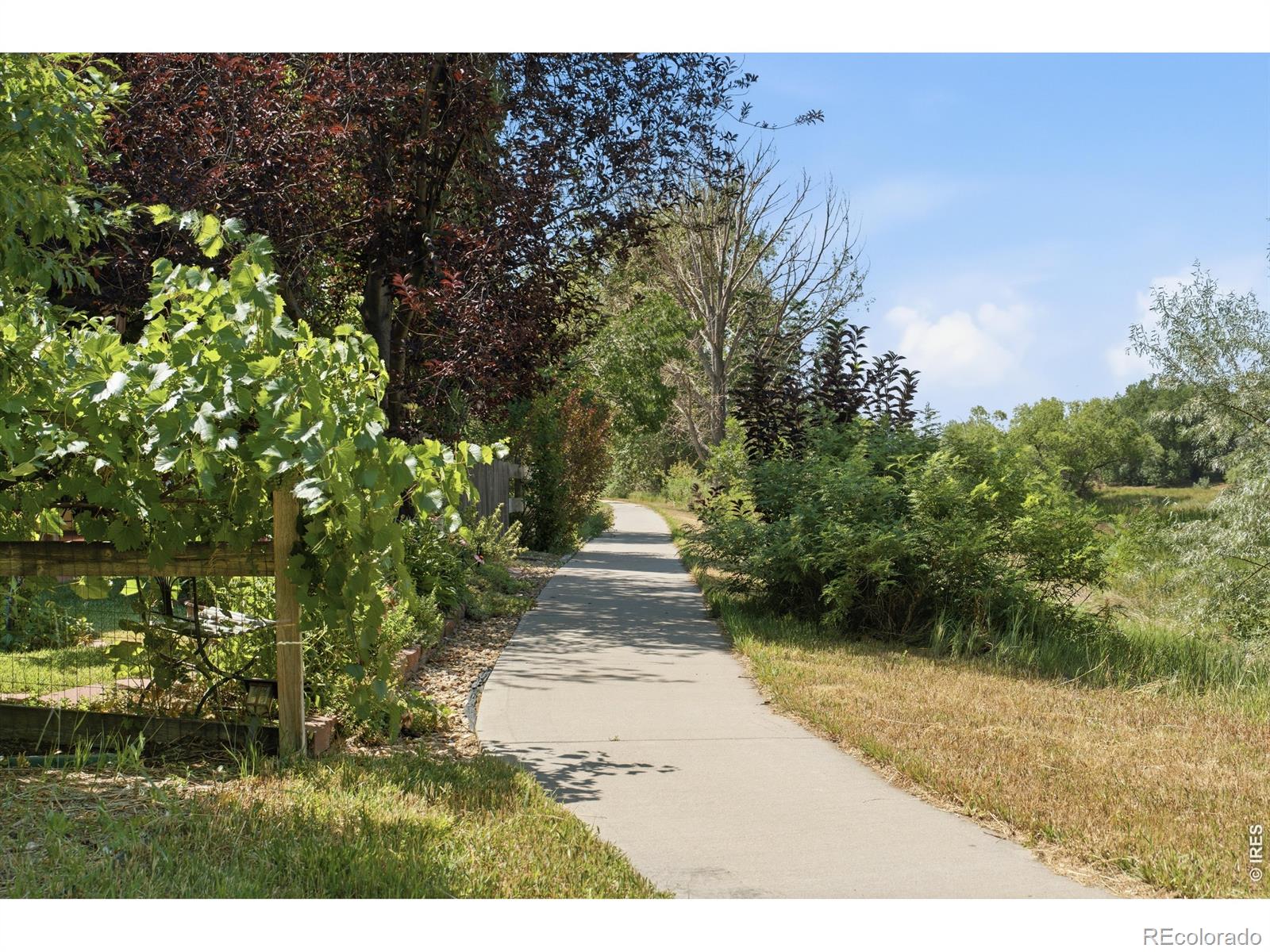 MLS Image #13 for 1115  lochmore place,fort collins, Colorado