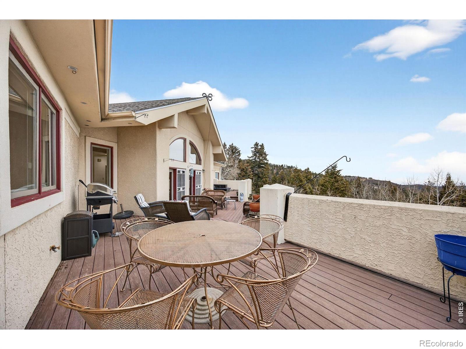 MLS Image #39 for 12291 s critchell lane,littleton, Colorado