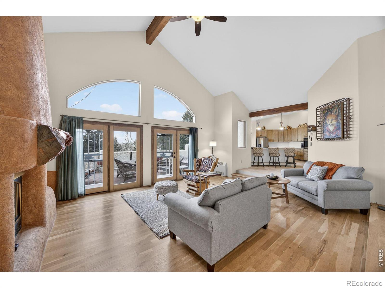 MLS Image #4 for 12291 s critchell lane,littleton, Colorado