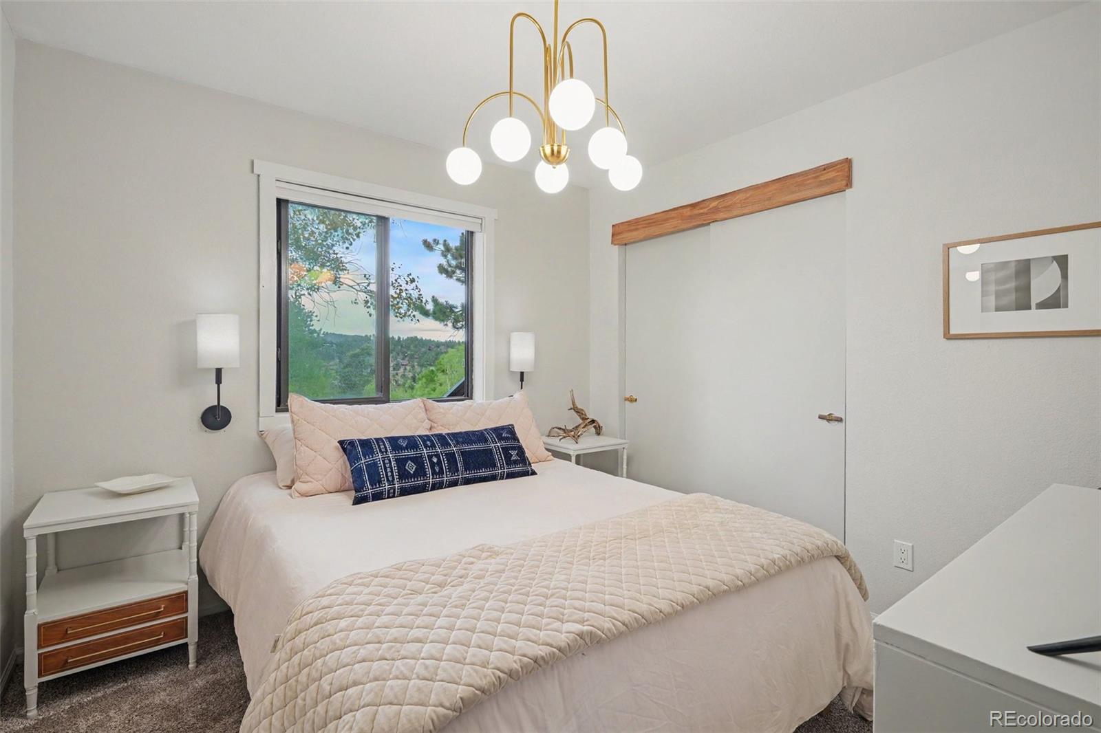 MLS Image #25 for 38  pinon road,bailey, Colorado