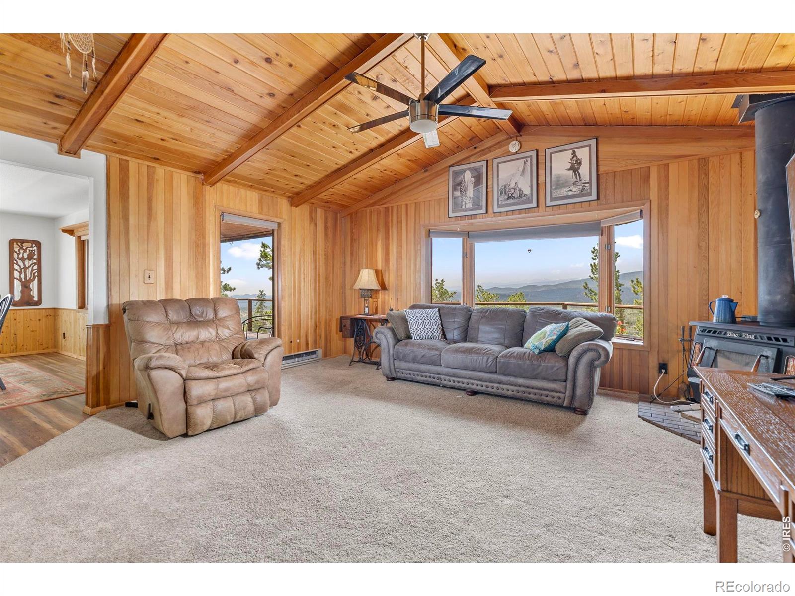 MLS Image #11 for 1502  osage trail,red feather lakes, Colorado