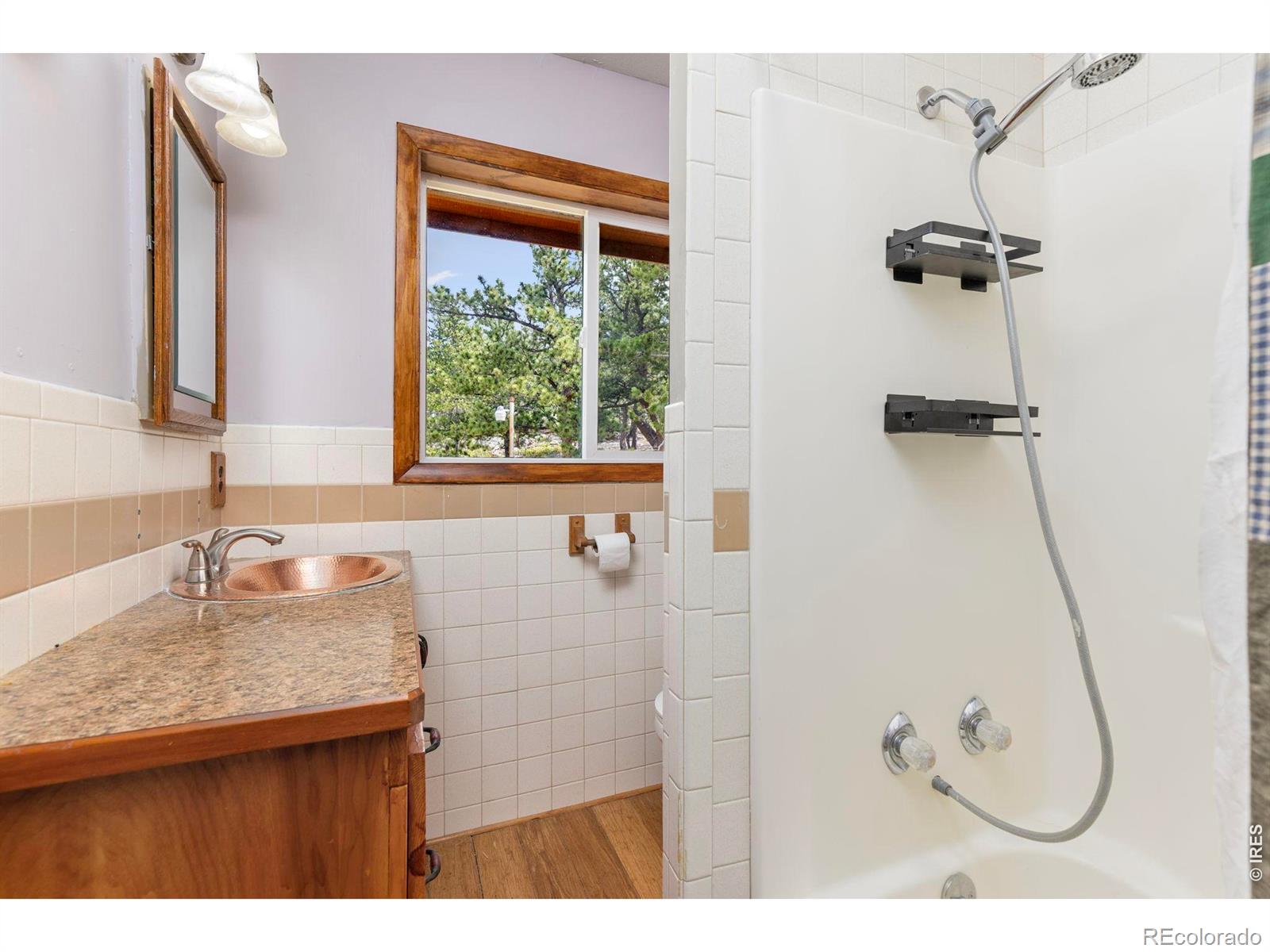 MLS Image #21 for 1502  osage trail,red feather lakes, Colorado