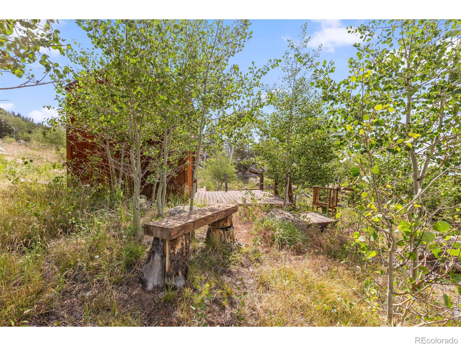 MLS Image #41 for 1502  osage trail,red feather lakes, Colorado