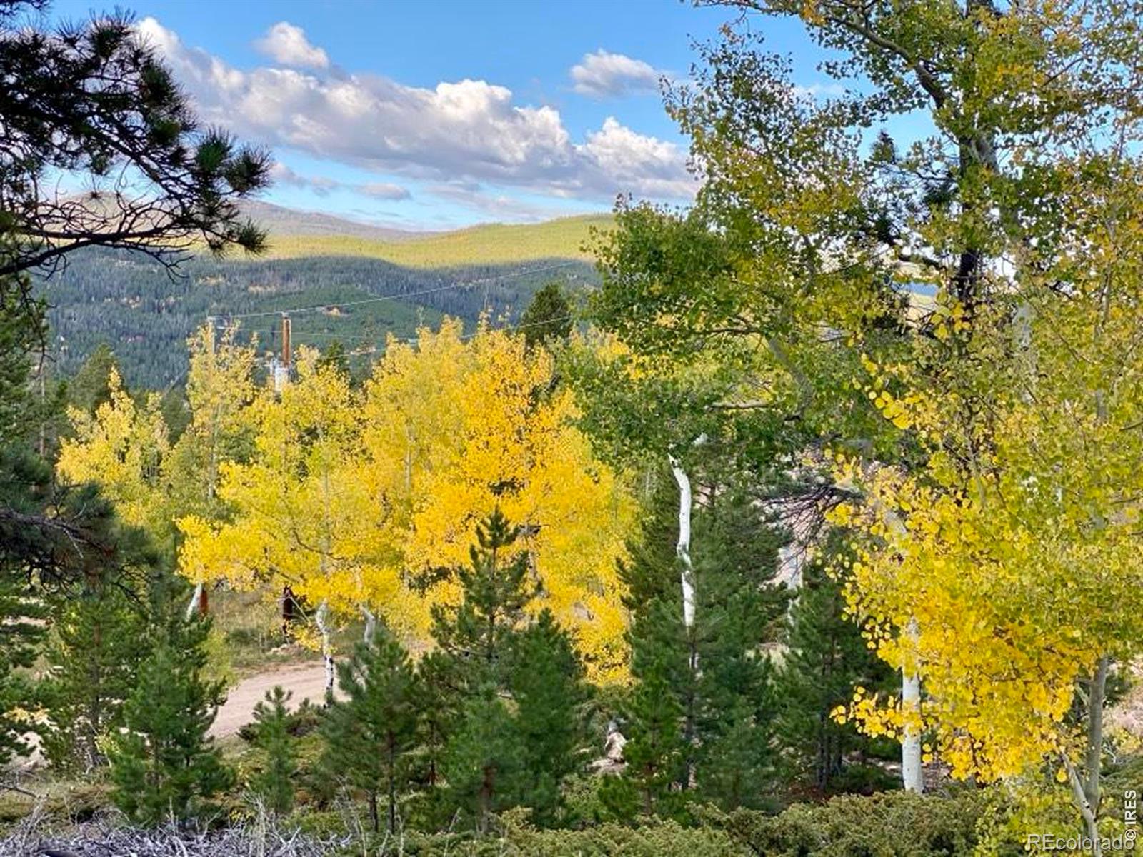 MLS Image #6 for 1502  osage trail,red feather lakes, Colorado