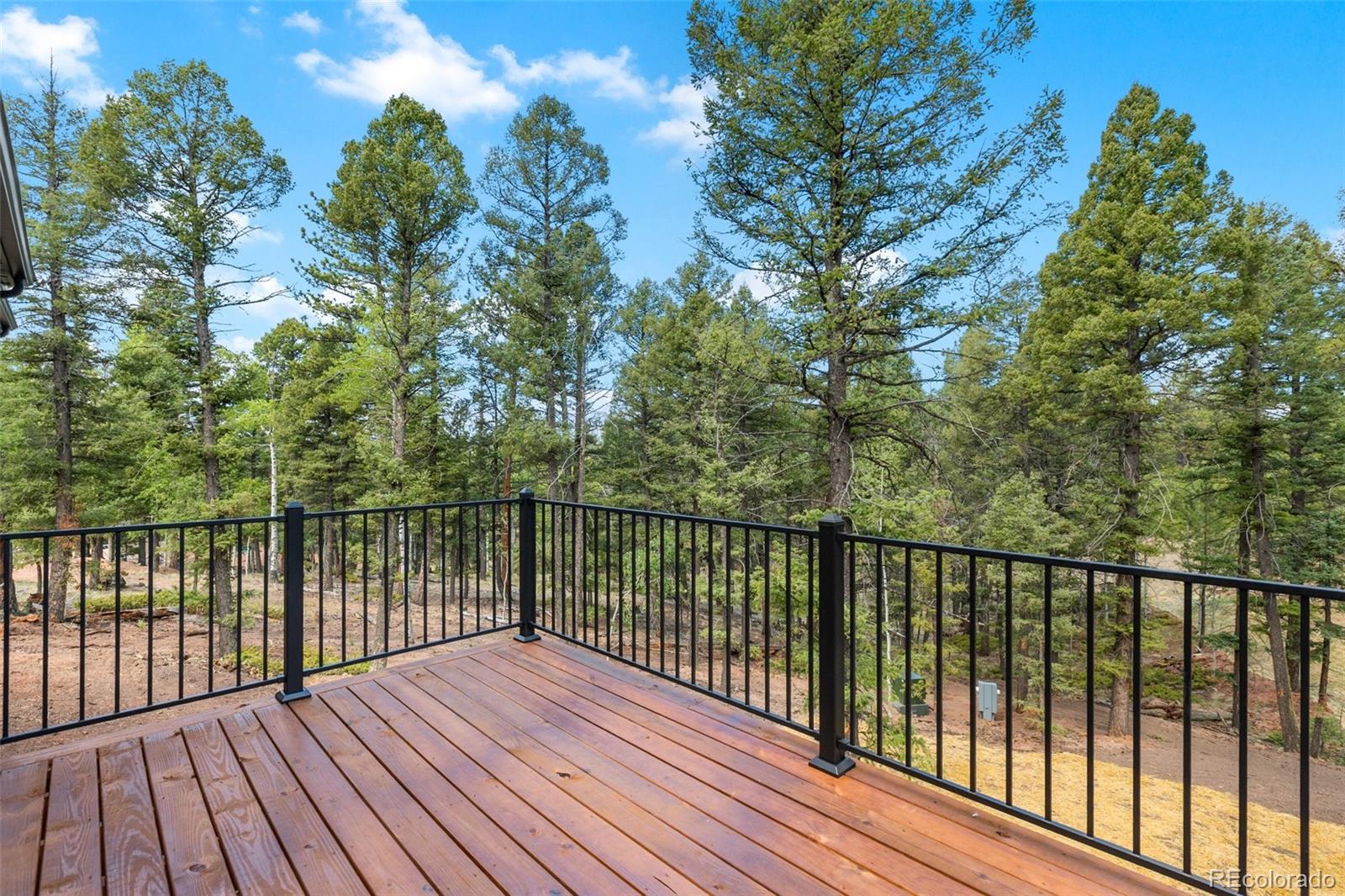 MLS Image #10 for 15  juniper circle,florissant, Colorado