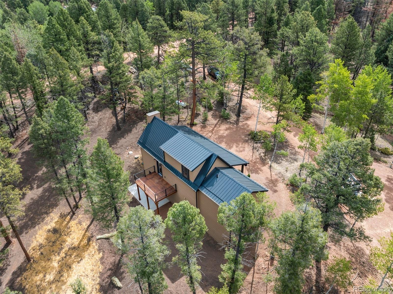 MLS Image #13 for 15  juniper circle,florissant, Colorado