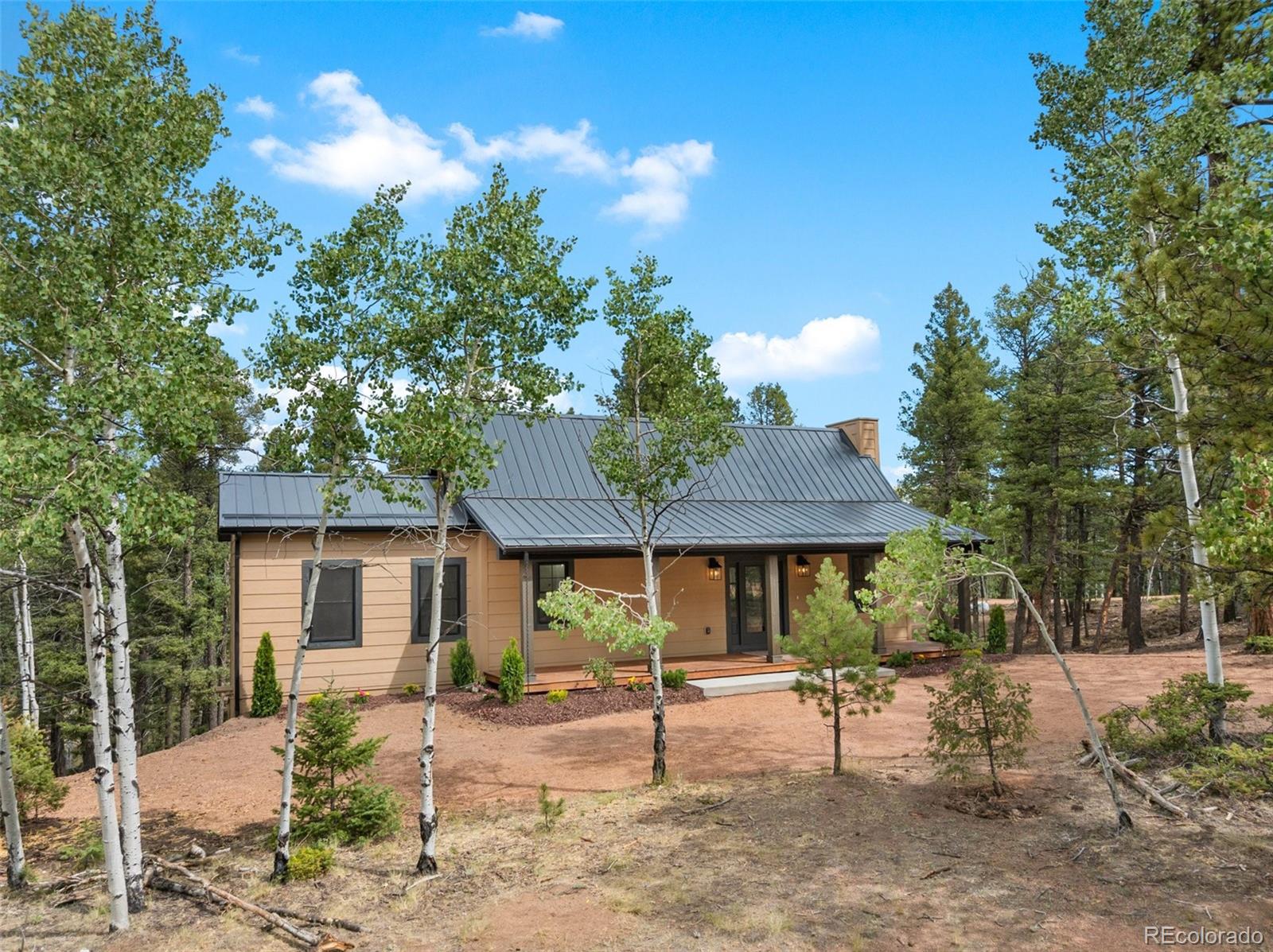 MLS Image #2 for 15  juniper circle,florissant, Colorado