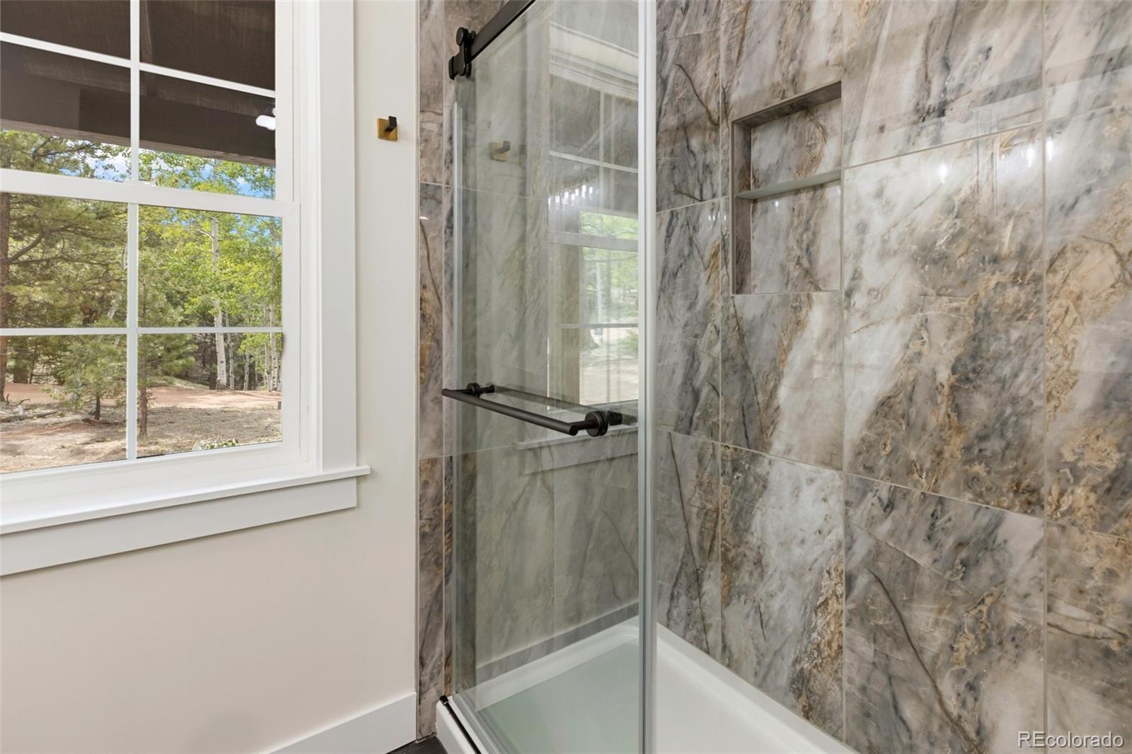 MLS Image #31 for 15  juniper circle,florissant, Colorado