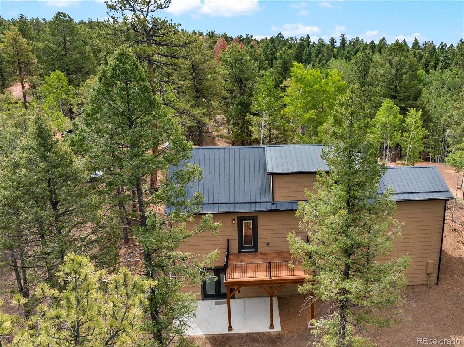 MLS Image #7 for 15  juniper circle,florissant, Colorado