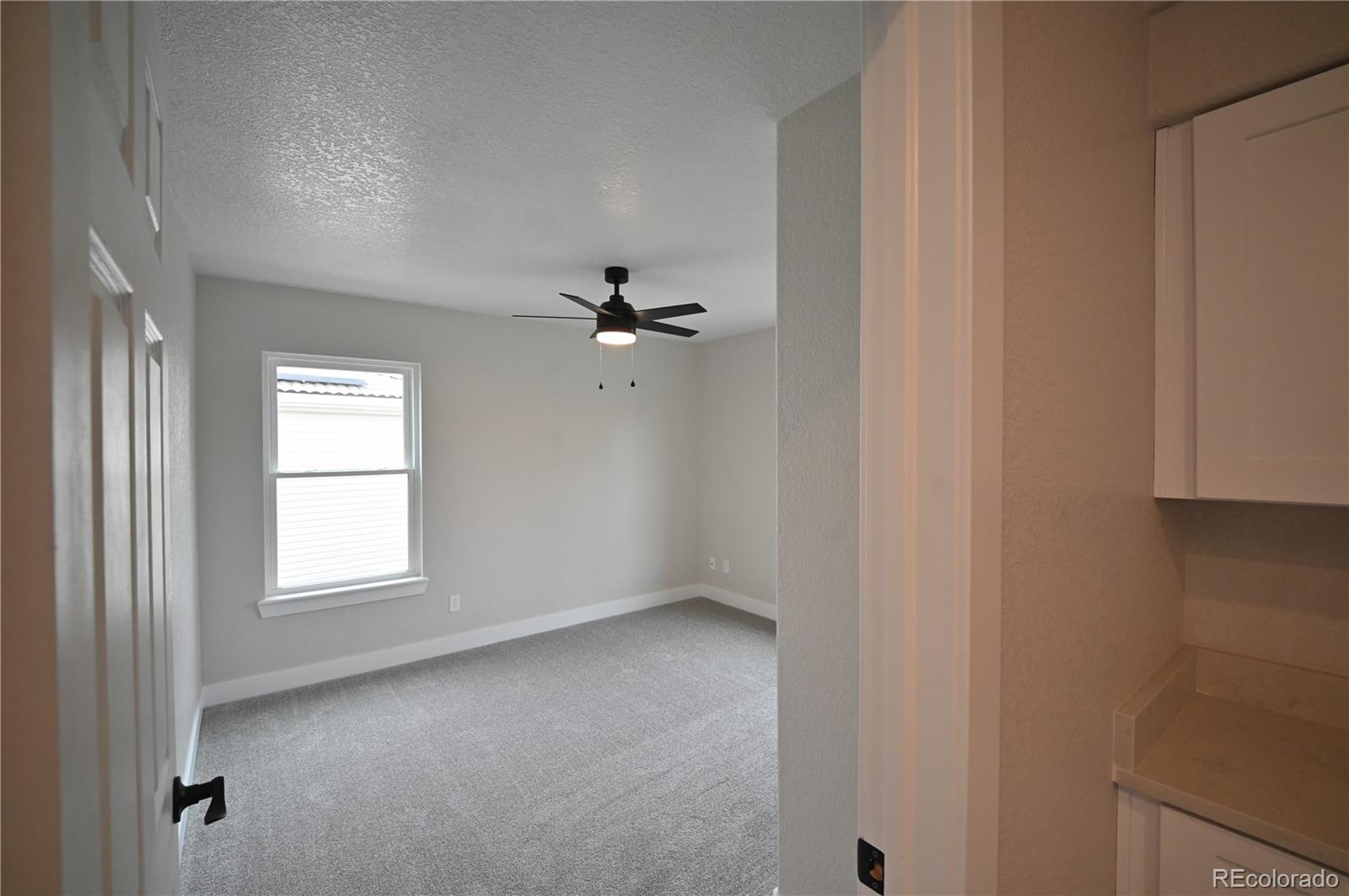 MLS Image #11 for 19834 e 49th place,denver, Colorado