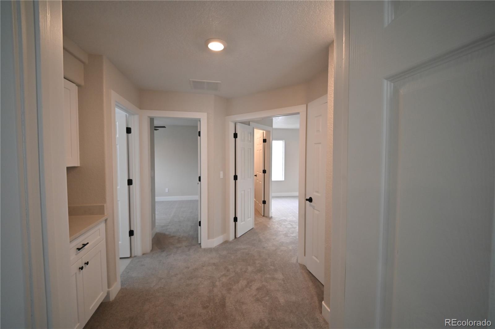 MLS Image #13 for 19834 e 49th place,denver, Colorado