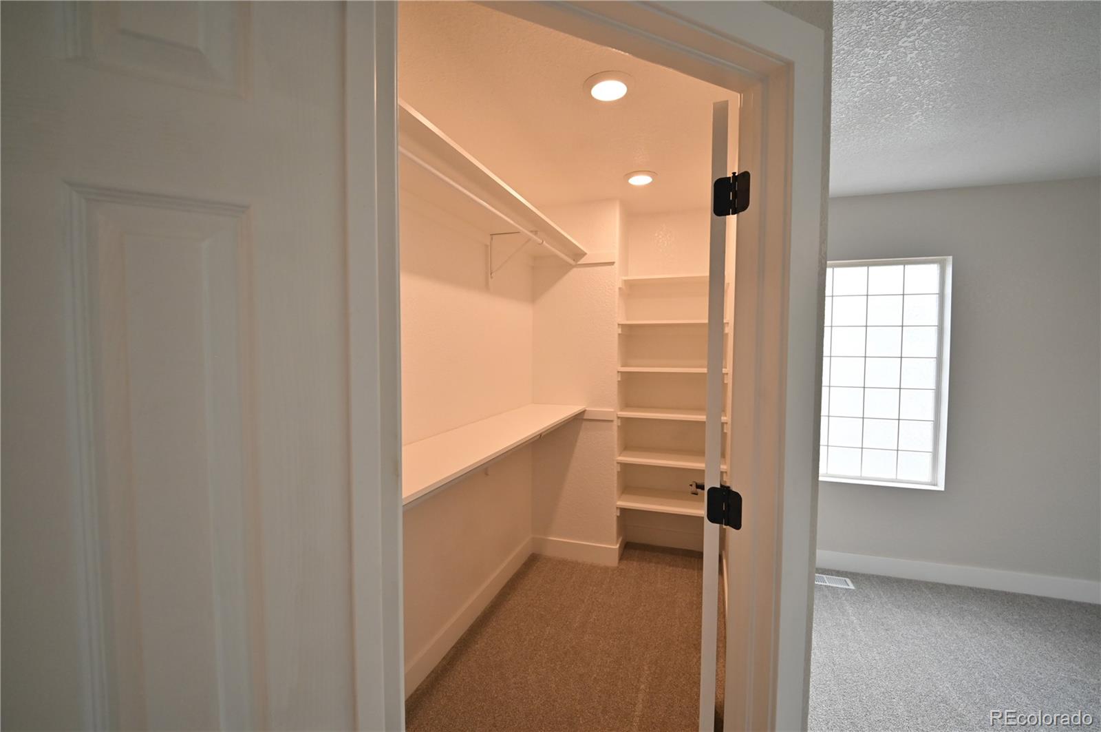 MLS Image #17 for 19834 e 49th place,denver, Colorado