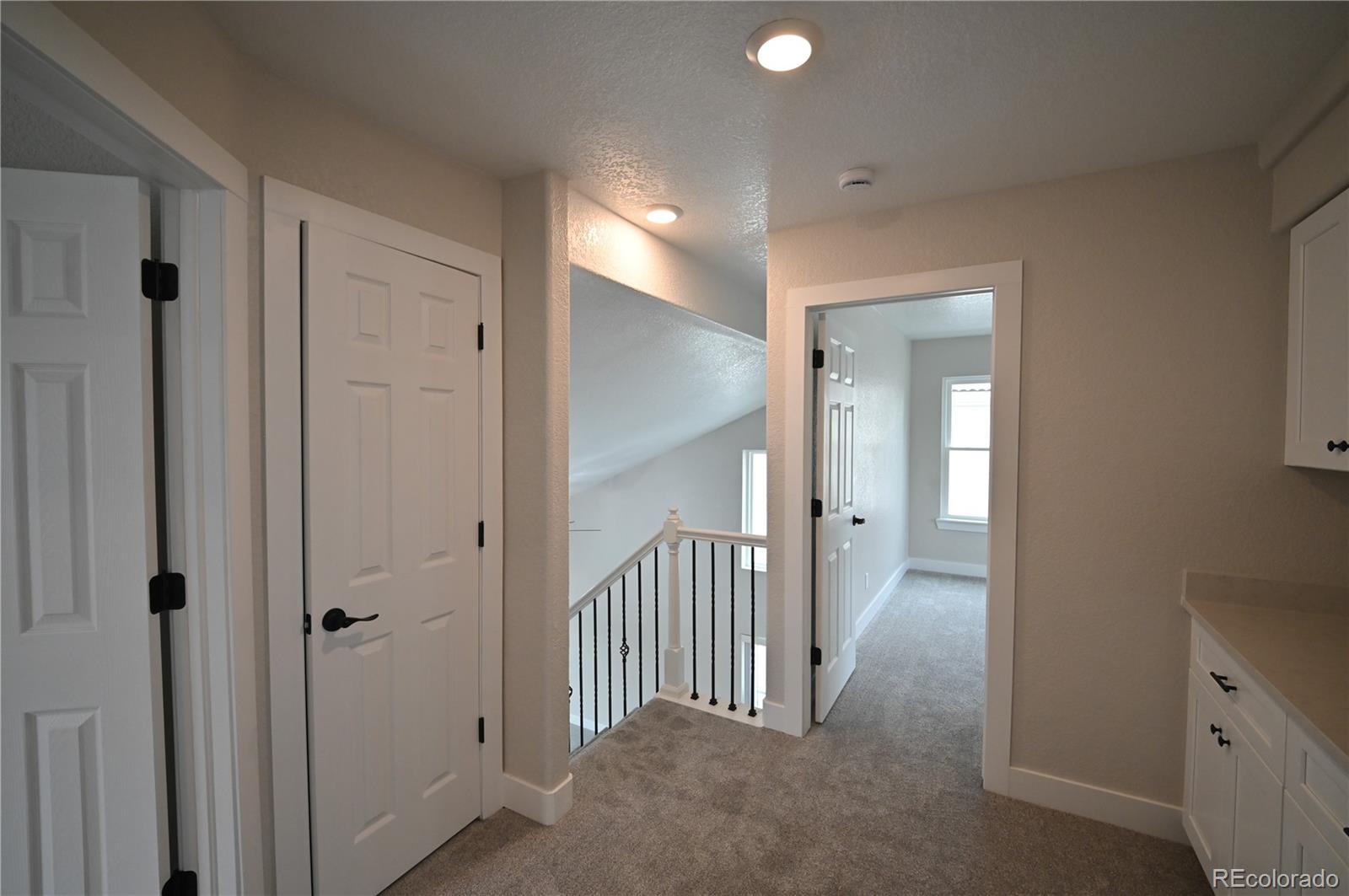 MLS Image #22 for 19834 e 49th place,denver, Colorado