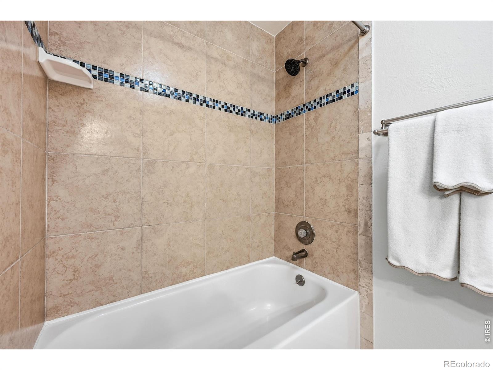 MLS Image #19 for 4201  ireland street,denver, Colorado