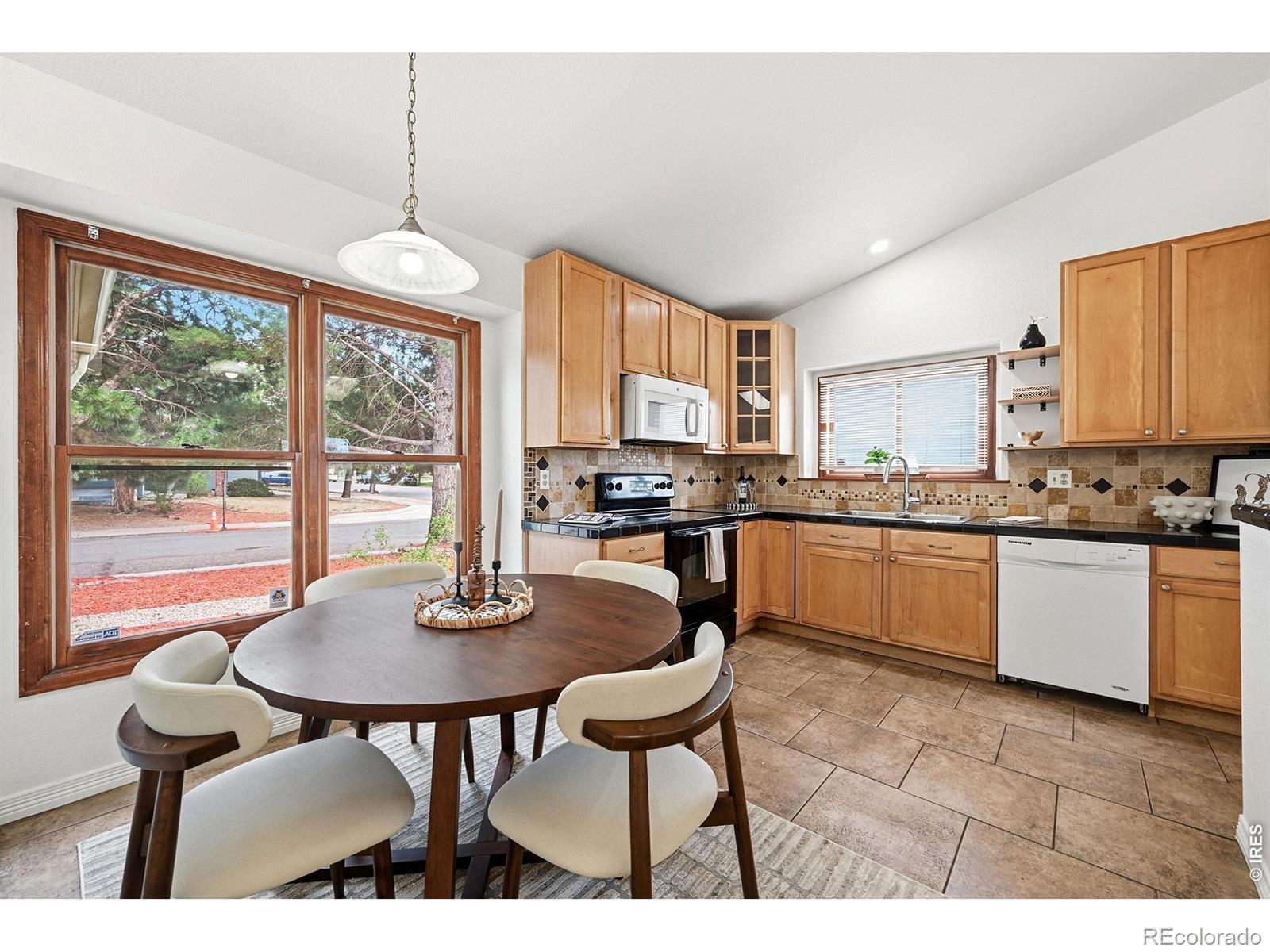 MLS Image #9 for 4201  ireland street,denver, Colorado