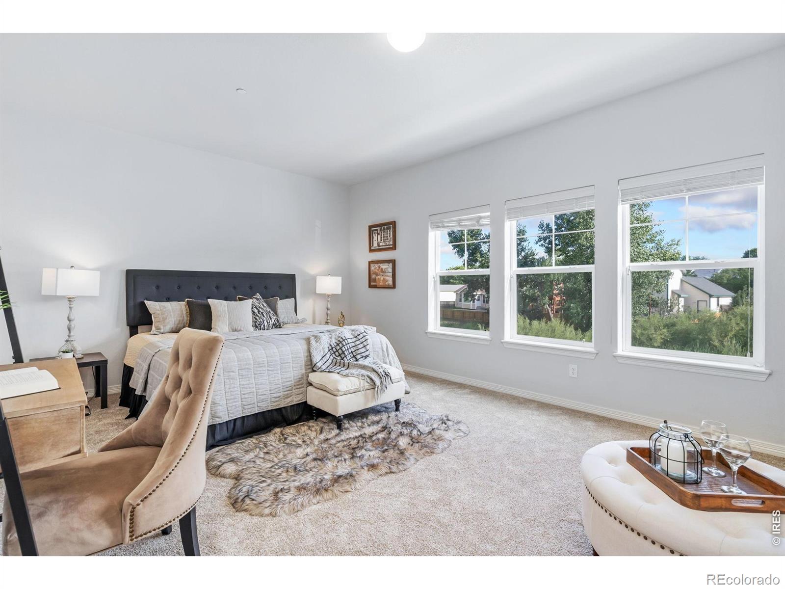 MLS Image #12 for 3848  manhattan avenue,fort collins, Colorado