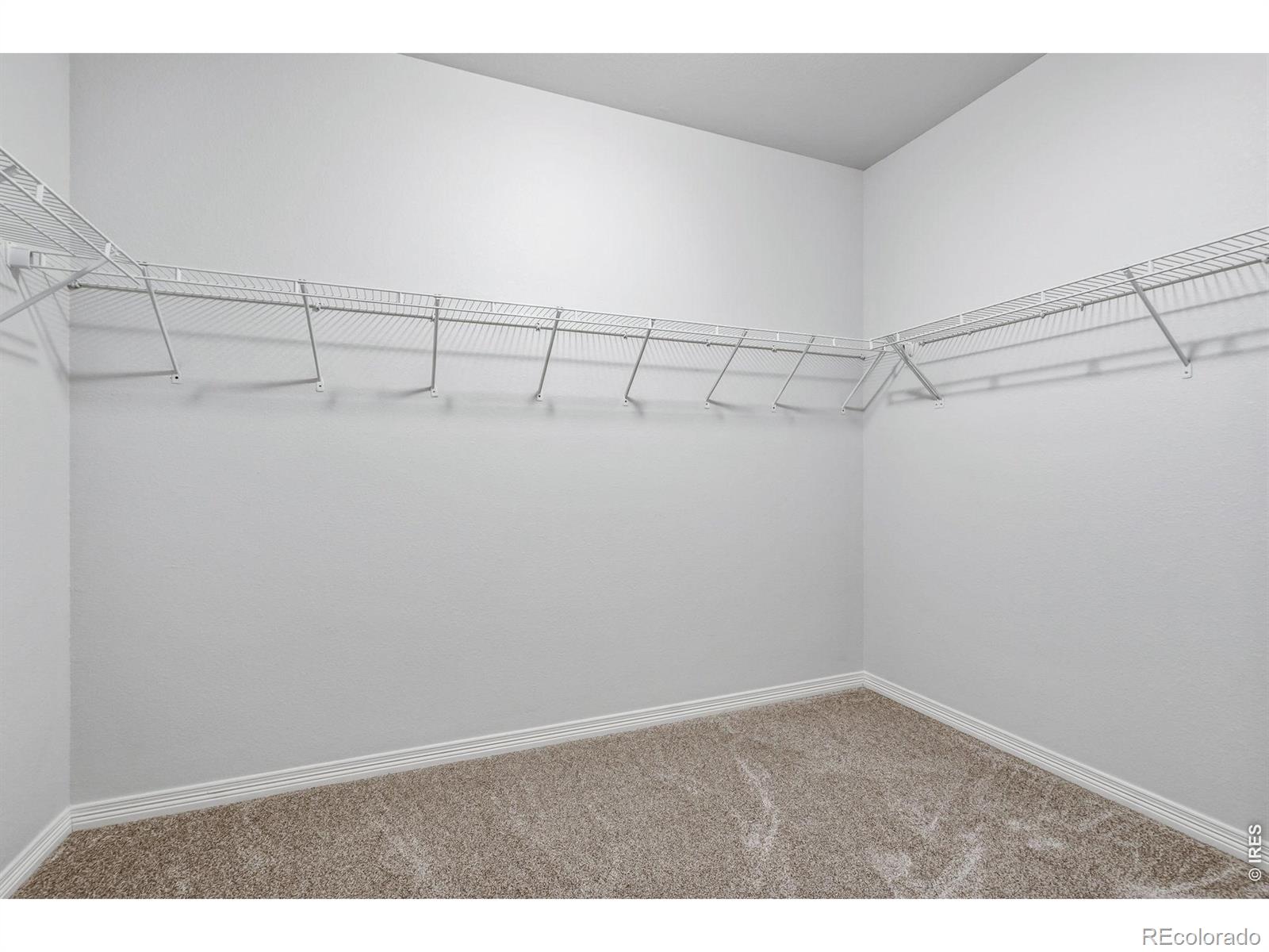 MLS Image #15 for 3848  manhattan avenue,fort collins, Colorado