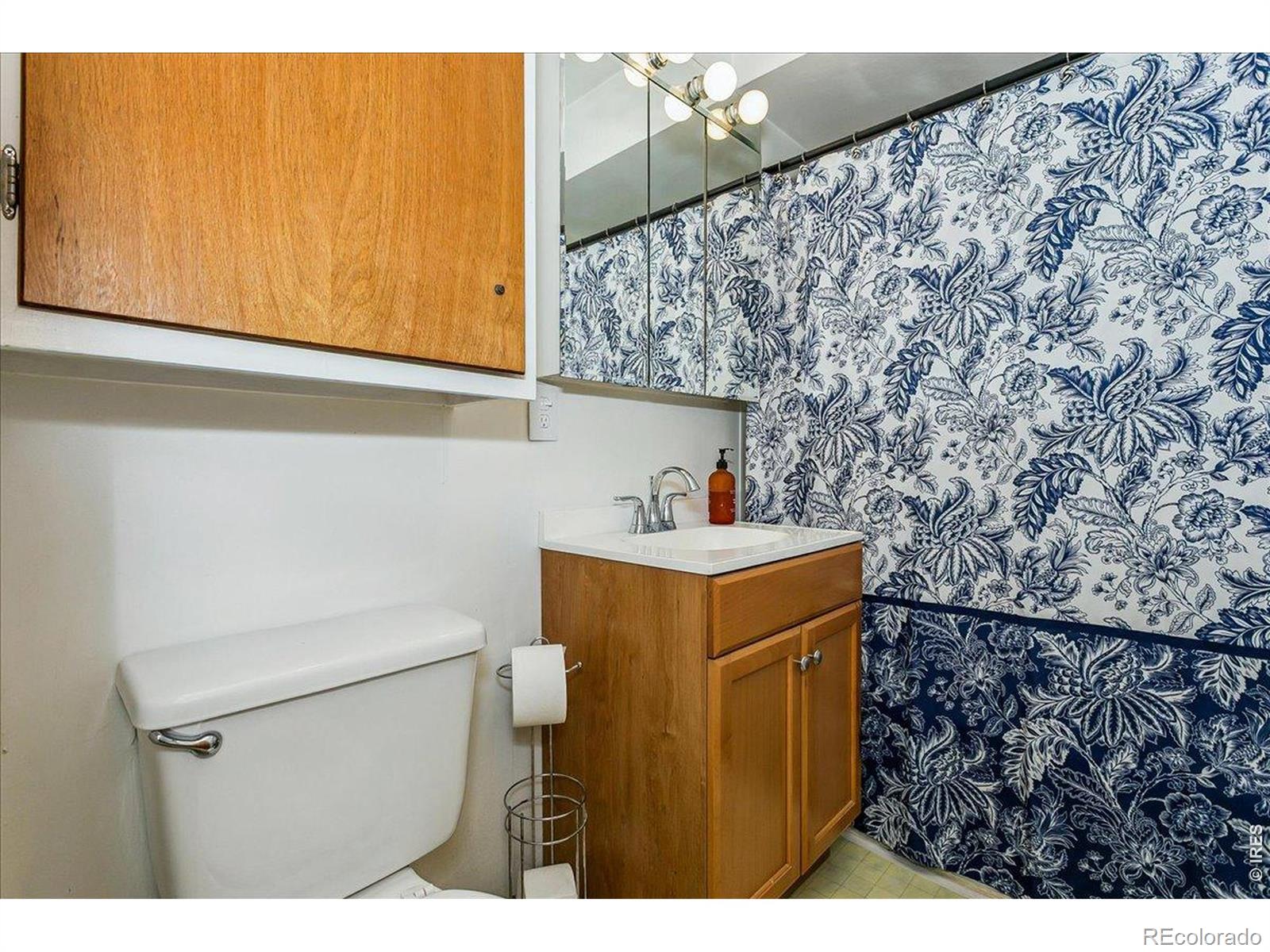 MLS Image #13 for 1009  charlotte street,johnstown, Colorado