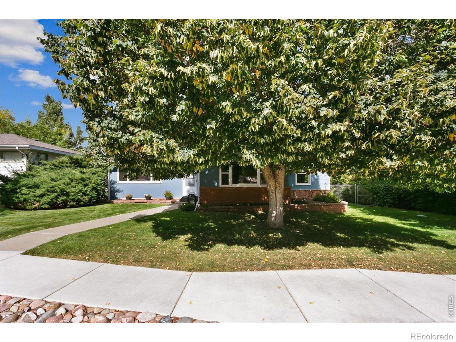 MLS Image #33 for 1009  charlotte street,johnstown, Colorado