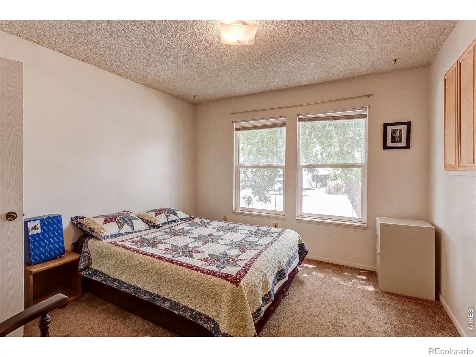 MLS Image #10 for 2904  double tree drive,fort collins, Colorado