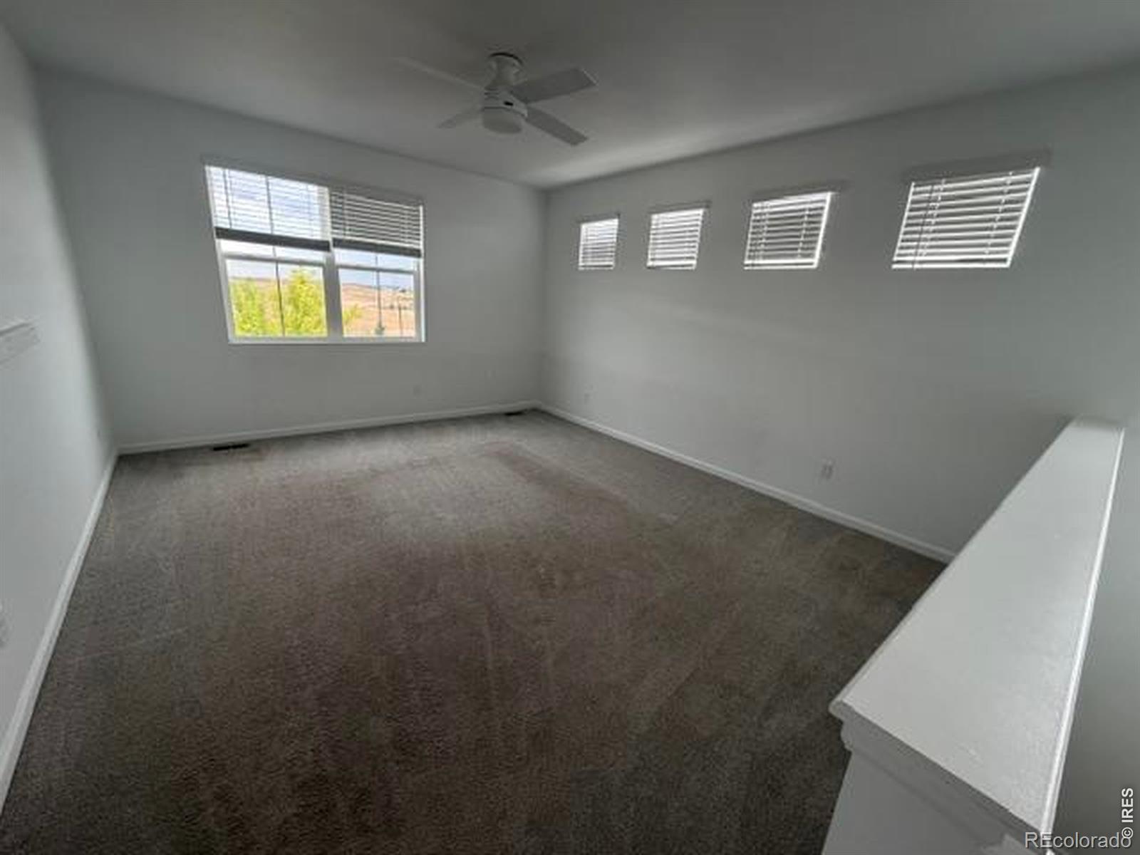 MLS Image #15 for 2419  white pelican avenue,loveland, Colorado