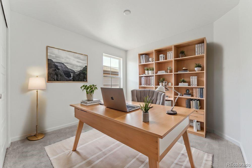 MLS Image #13 for 8732  whiteclover street,littleton, Colorado