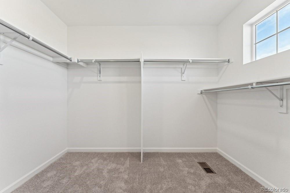 MLS Image #29 for 8732  whiteclover street,littleton, Colorado