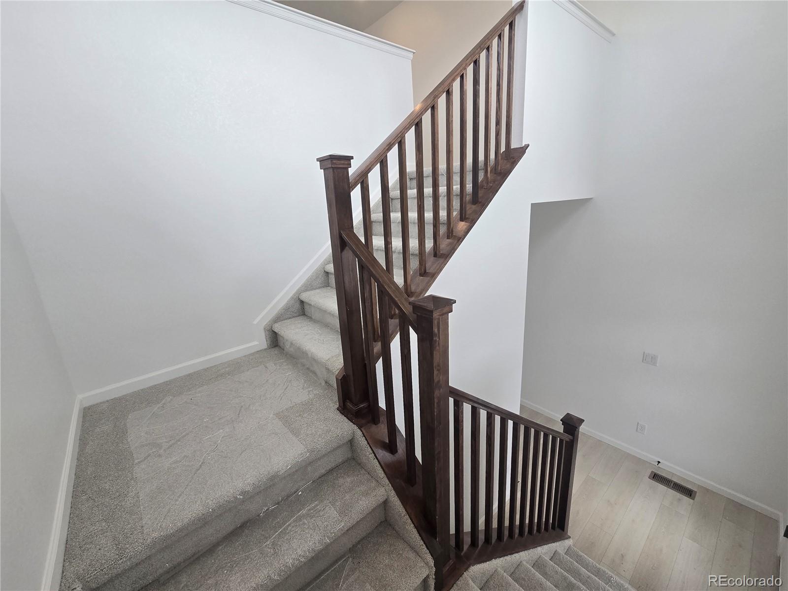 MLS Image #39 for 8732  whiteclover street,littleton, Colorado