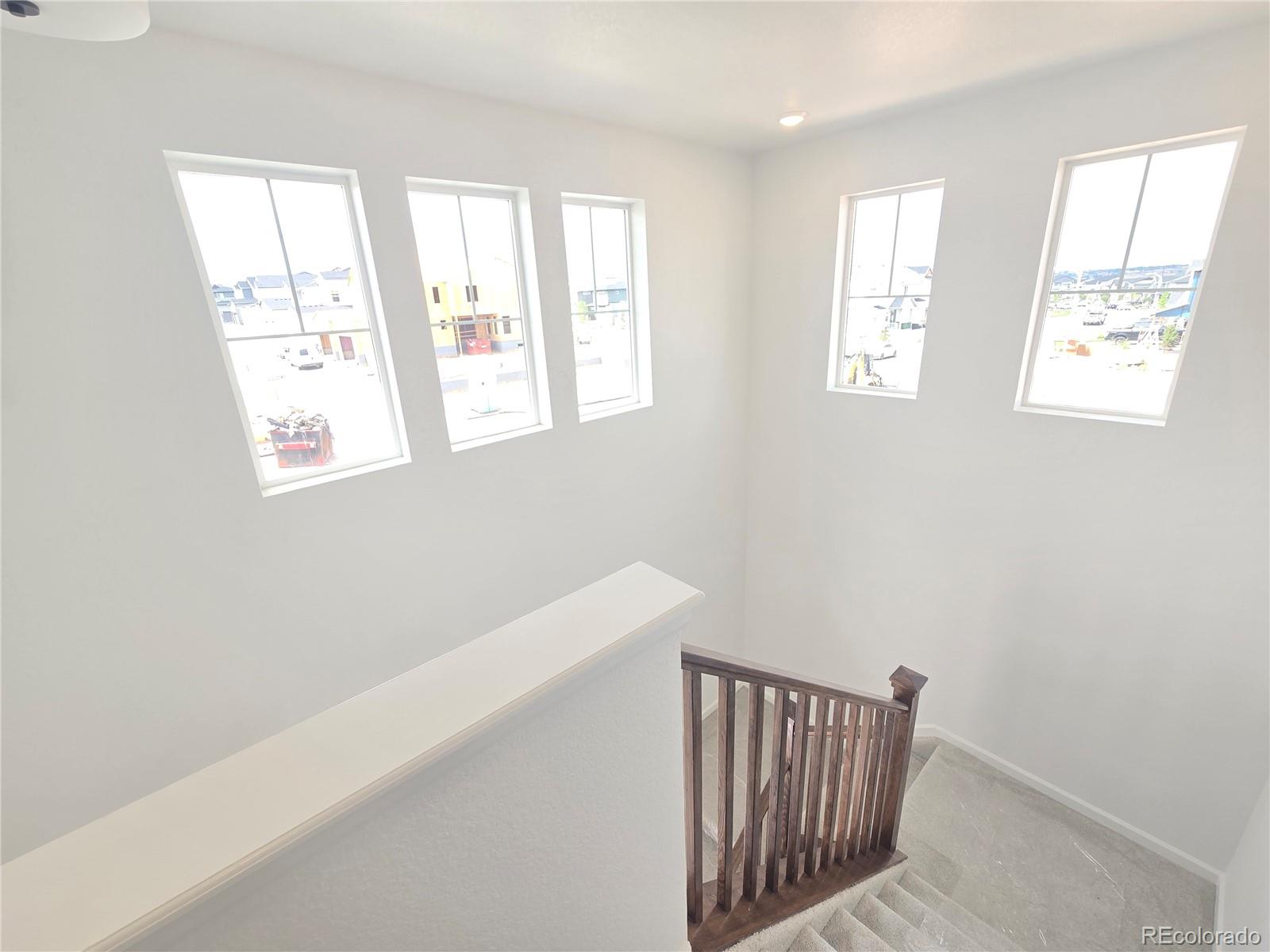 MLS Image #41 for 8732  whiteclover street,littleton, Colorado