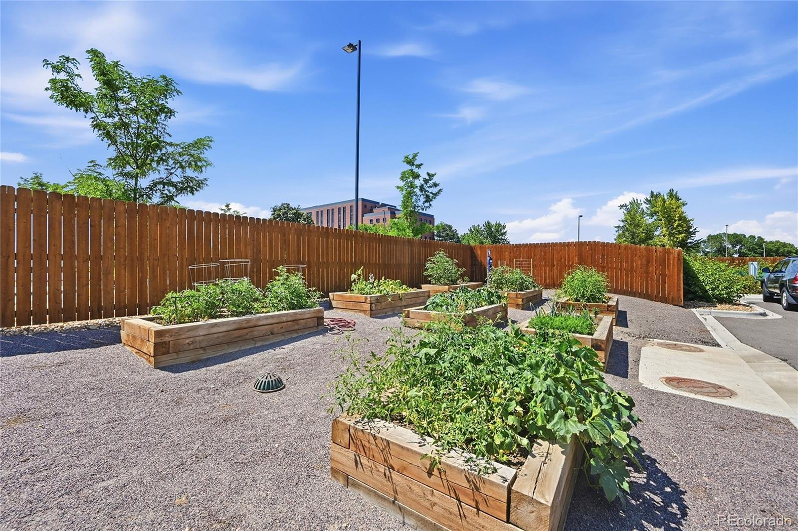 MLS Image #26 for 4045 s teller street,denver, Colorado