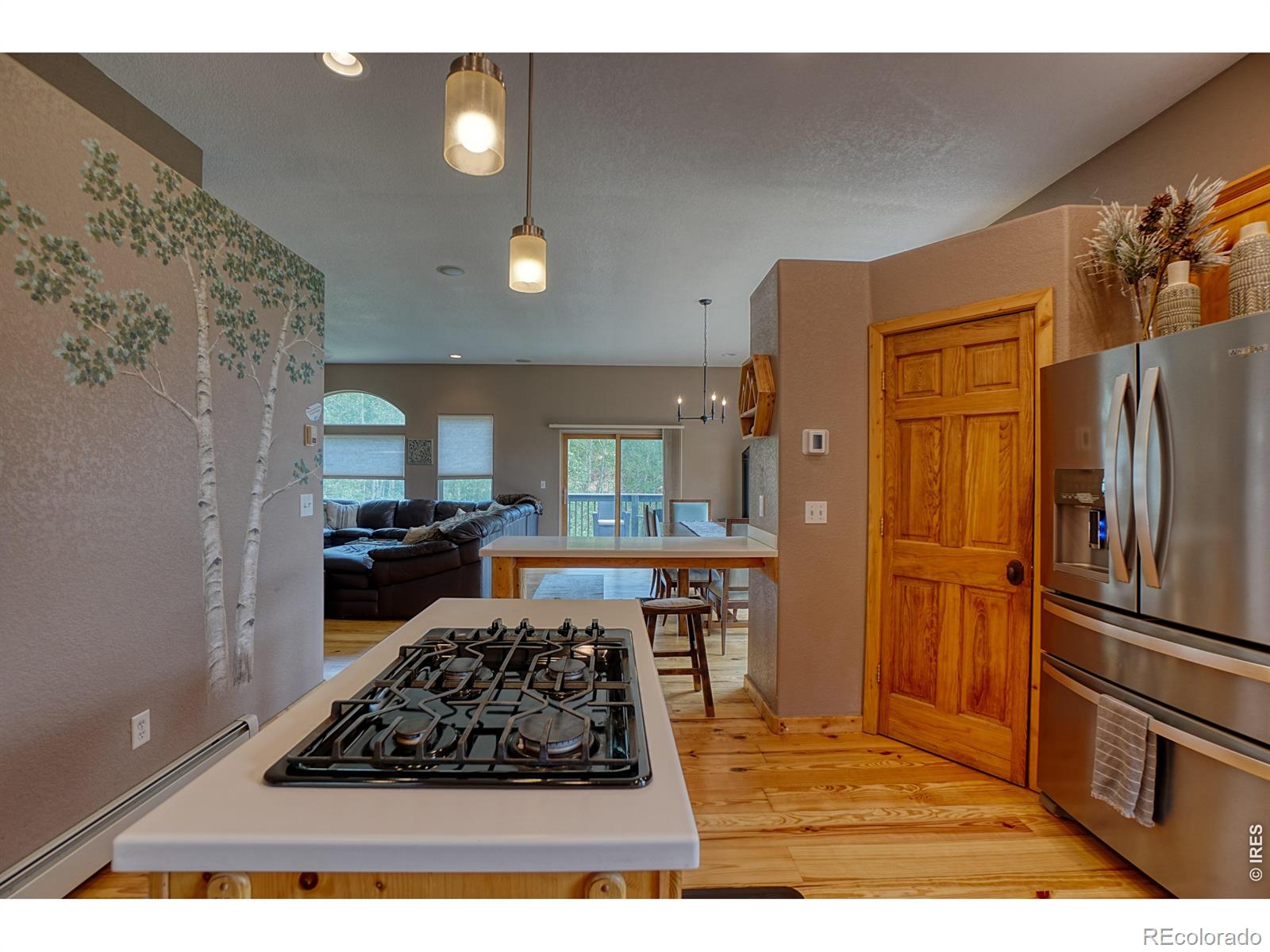 MLS Image #3 for 2353  dory hill road,black hawk, Colorado
