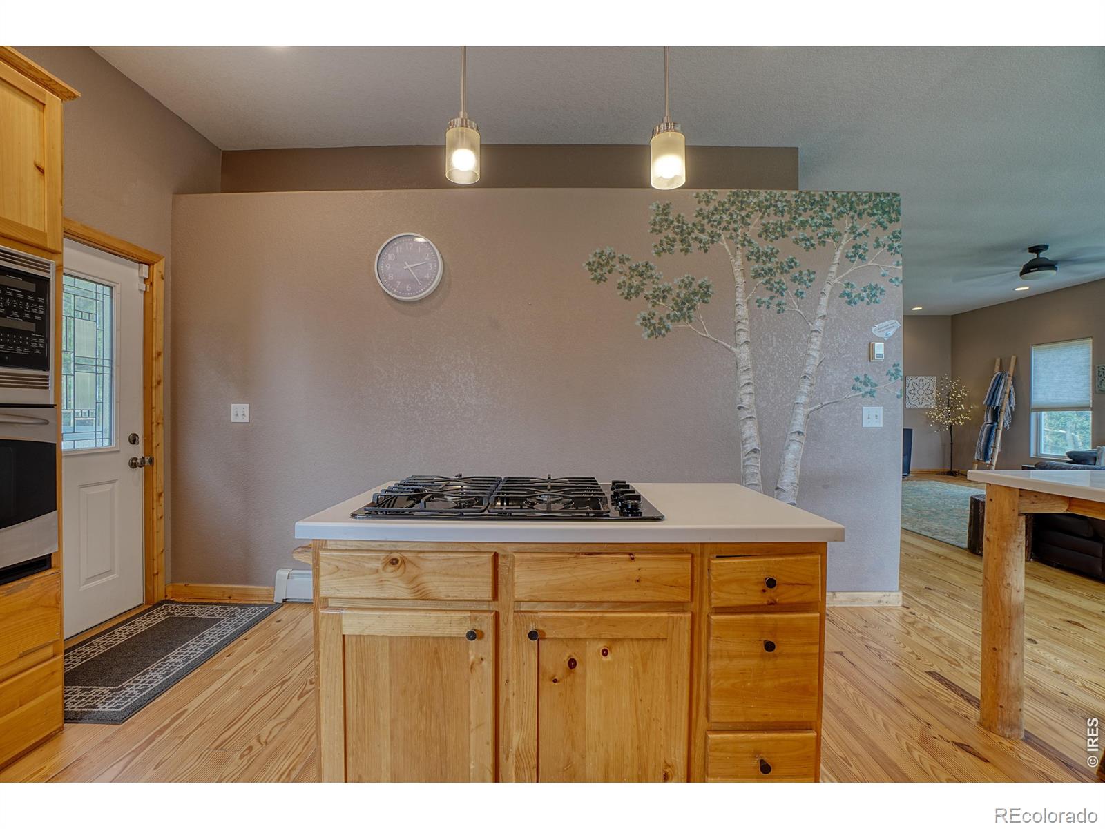 MLS Image #5 for 2353  dory hill road,black hawk, Colorado