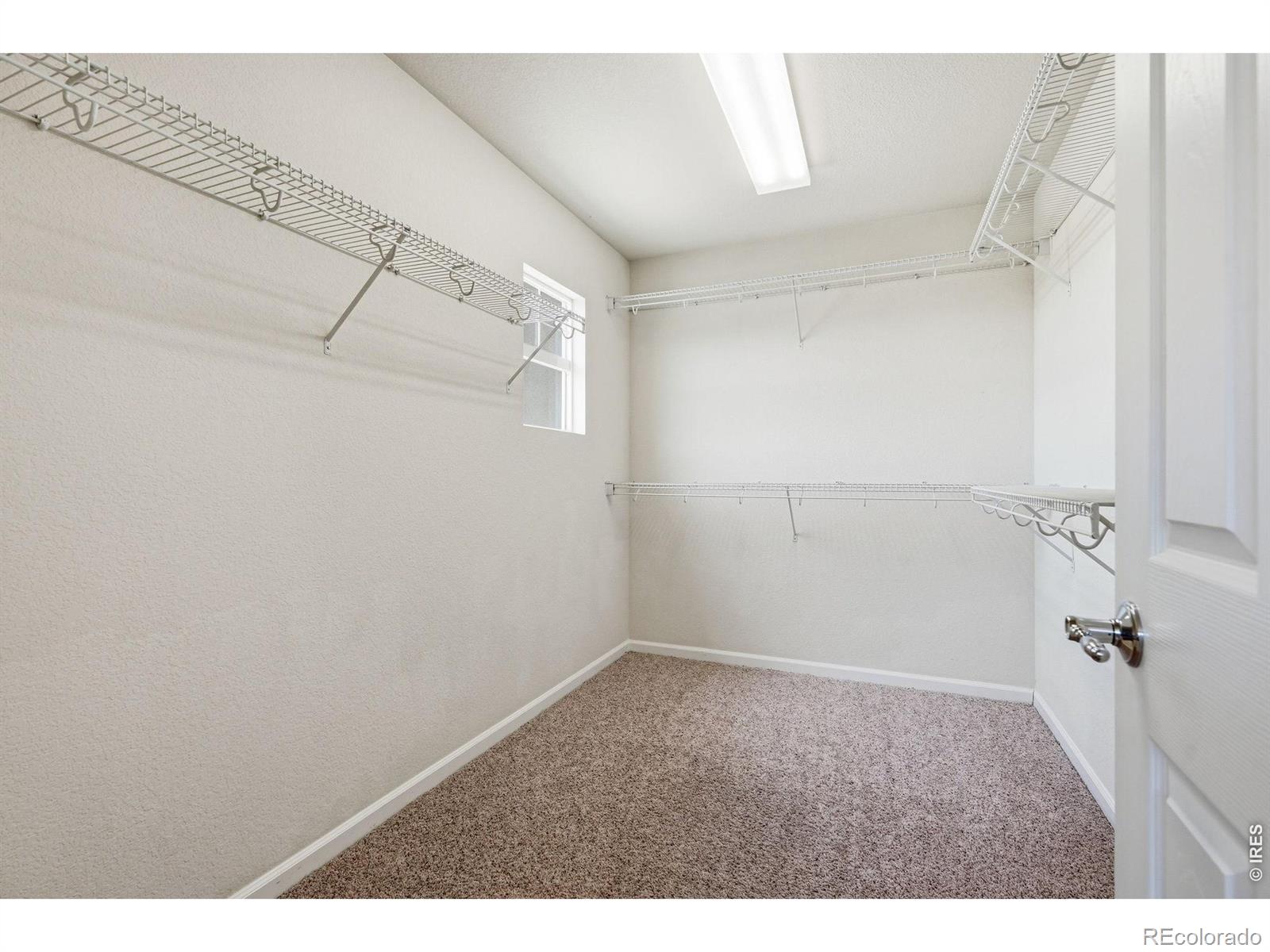 MLS Image #19 for 3385  traver drive,broomfield, Colorado