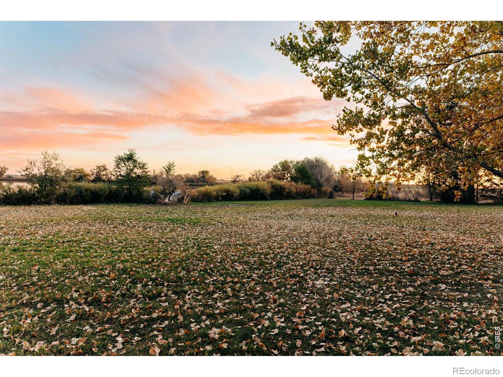 MLS Image #19 for 18691  county road 80 1/2 ,ault, Colorado