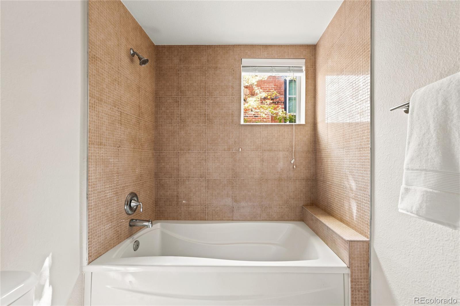 MLS Image #18 for 3033  blake street,denver, Colorado