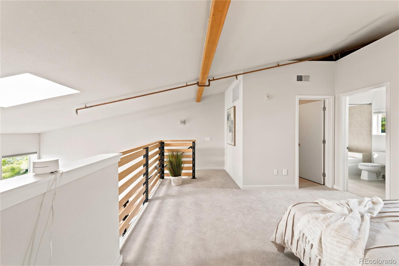 MLS Image #22 for 3033  blake street,denver, Colorado