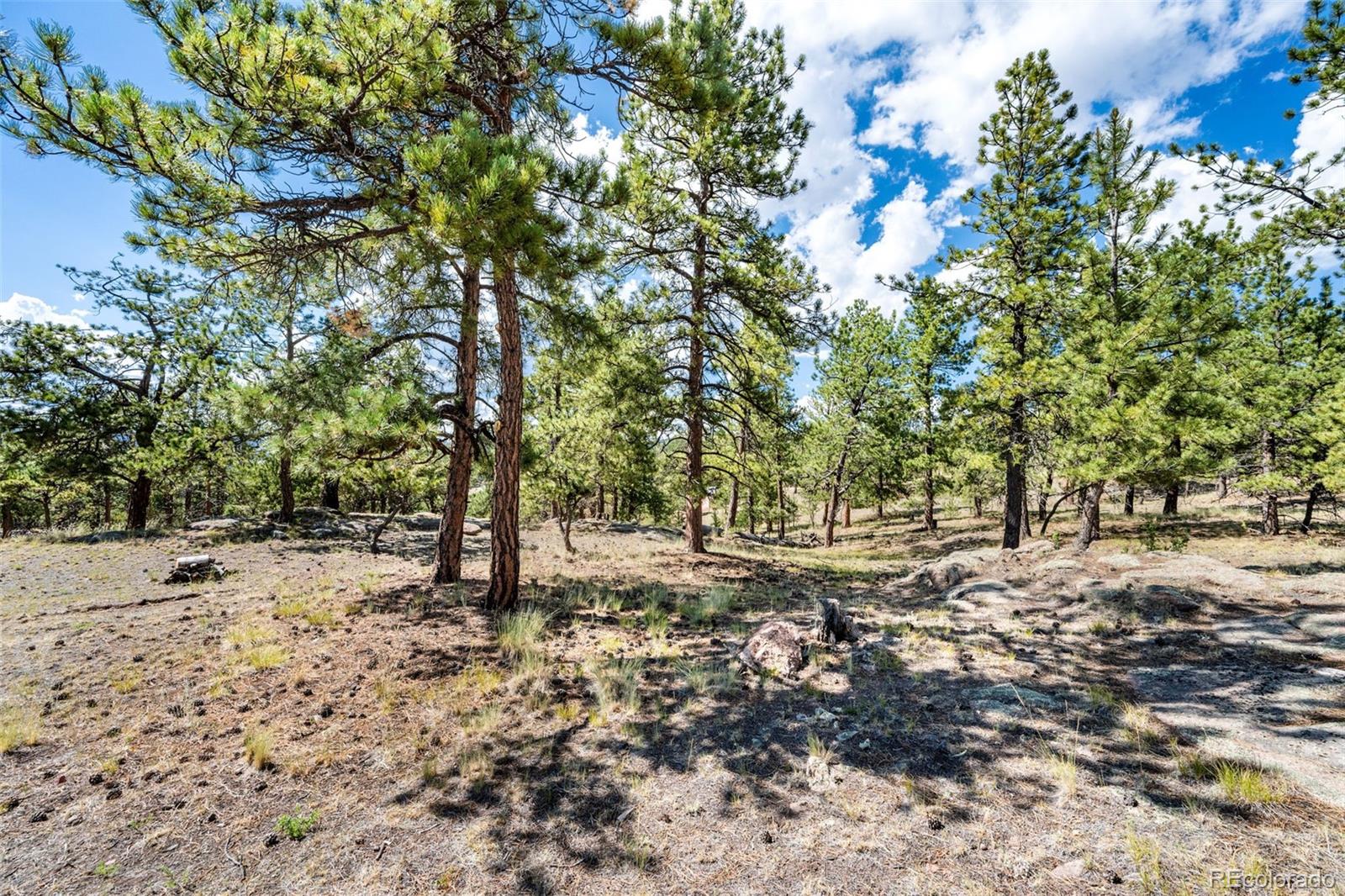 MLS Image #26 for 363  arrowhead drive,florissant, Colorado