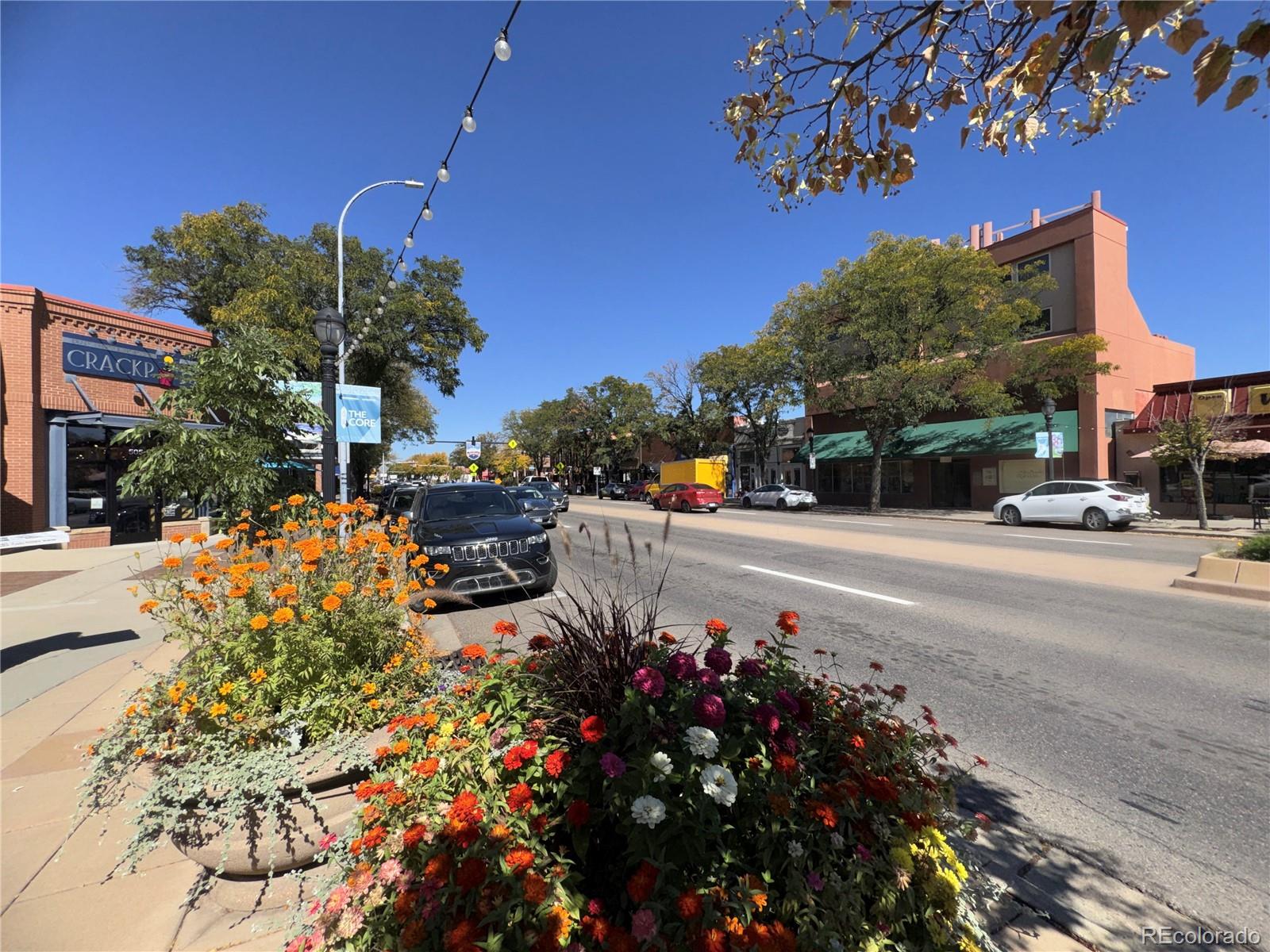 MLS Image #49 for 1048  11th avenue,longmont, Colorado