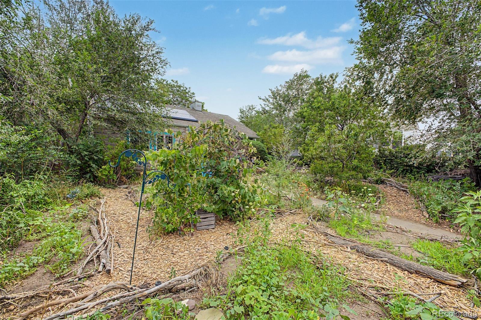 MLS Image #4 for 4330  adams street,denver, Colorado